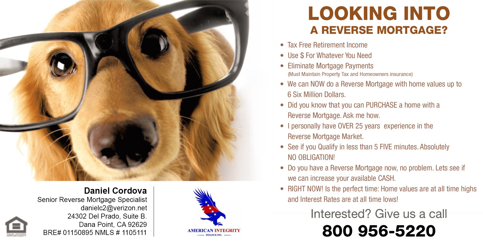 dog_advertisment_full-2